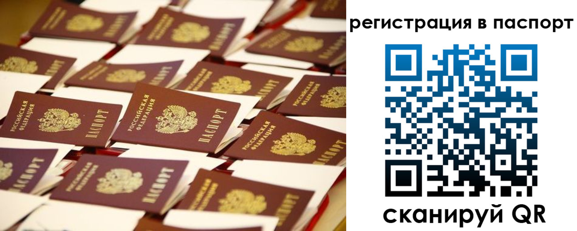 прописка гарантия в Красногорске